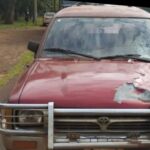 YGUAZÚ | Un adolescente de 15 años cruzó la ruta sin tomar las debidas precauciones y fue atropellado. El hecho ocurrió este sábado, a las 14:50 aproximadamente, a la altura del kilómetro 58 de la Ruta PY02, en el distrito de Yguazú.