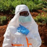 La OMS alerta sobre el grave brote de ébola en la República Democrática del Congo con más de 900 casos sospechosos