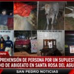 #SANTA_ROSA_DEL_AGUARAY❇️APREHENSION DE TRES PERSONAS, INCAUTACIÓN DE VEHÍCULO, INCAUTACIÓN  DE ARMA DE FUEGO Y RECUPERACIÓN DE DOS GANADOS VACUNOS, EN PROSECUCIÓN A UN S/H/P DE ABIGEATO EN .